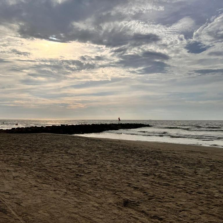 Brand new apartment on Marbella beaches - Apartamento de 3 dormitorios y vistas al mar - 14