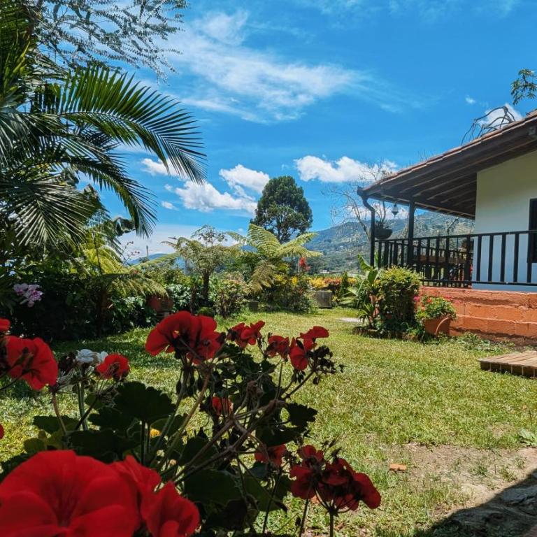 Lume refugio - Three-Bedroom House - 24