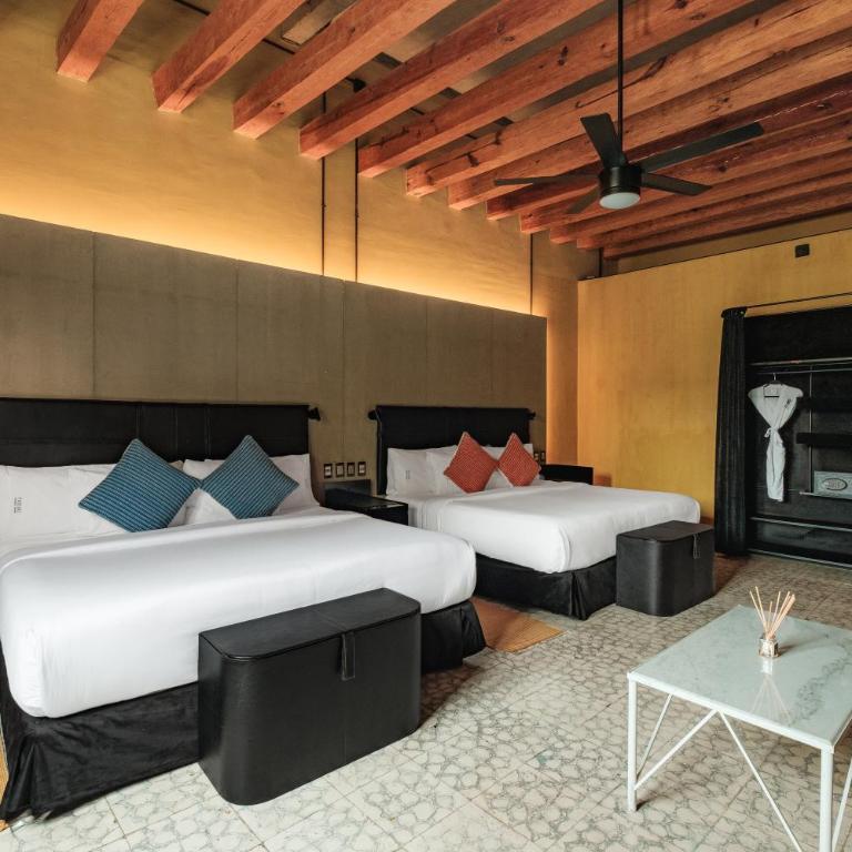 Pug Seal Oaxaca - Suite Executive Master - 5