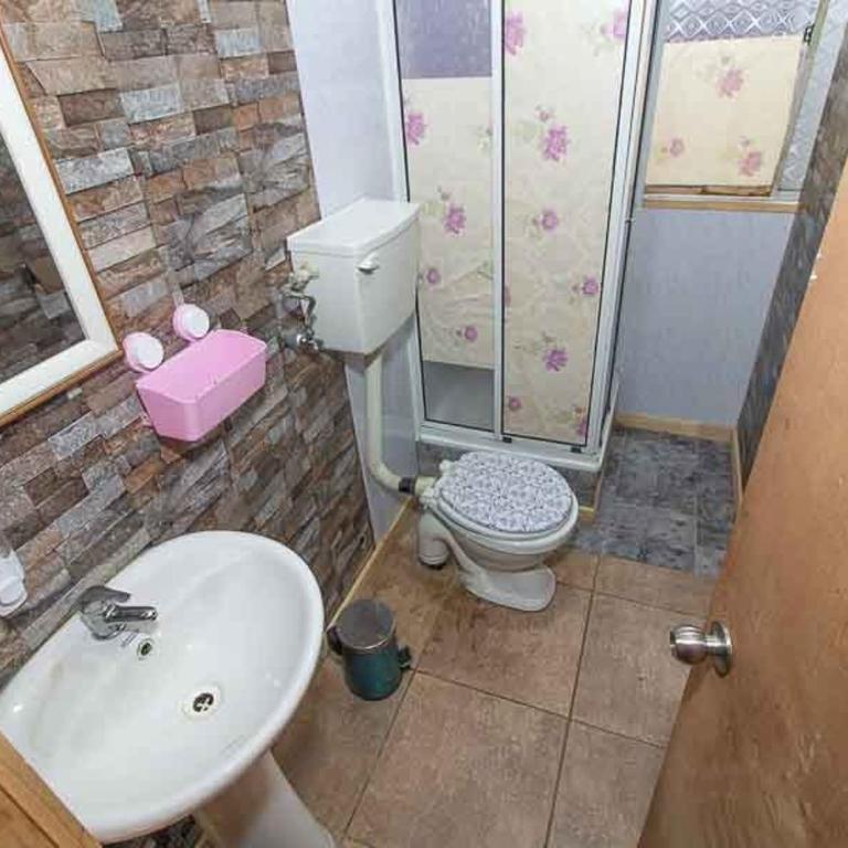 Arriendo cerca Puerto Varas - One-Bedroom House - 8