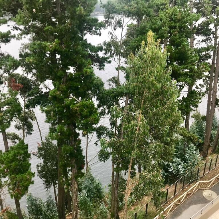 Beautiful and exclusive apartment, lake view - Apartamento de 1 dormitorio - 18