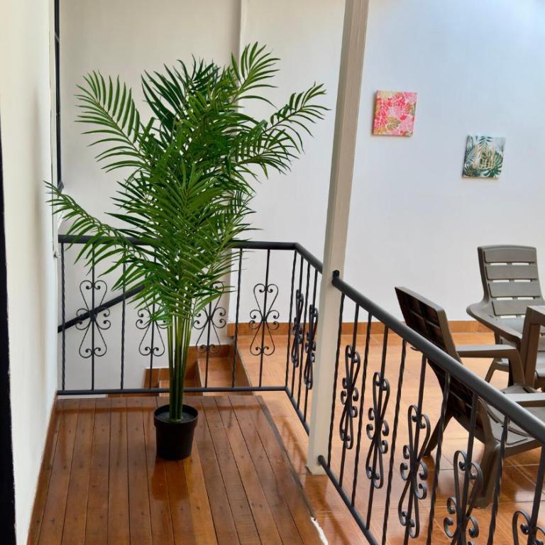 La Casita Azul - Three-Bedroom Apartment - 54
