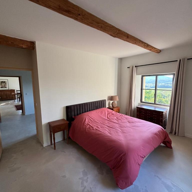 Château Daulone - Maison de Vacances - 57