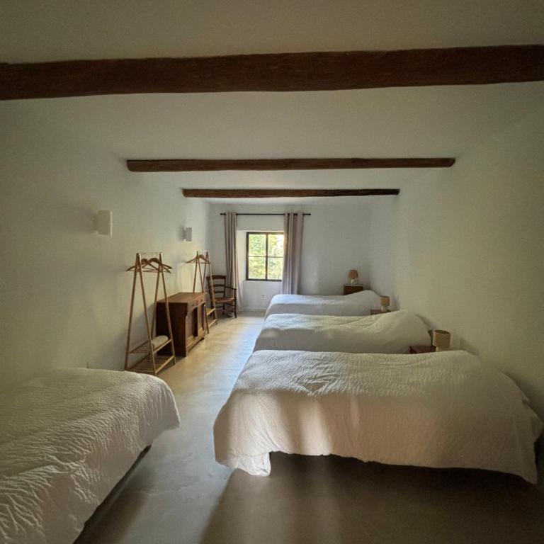 Château Daulone - Maison de Vacances - 44
