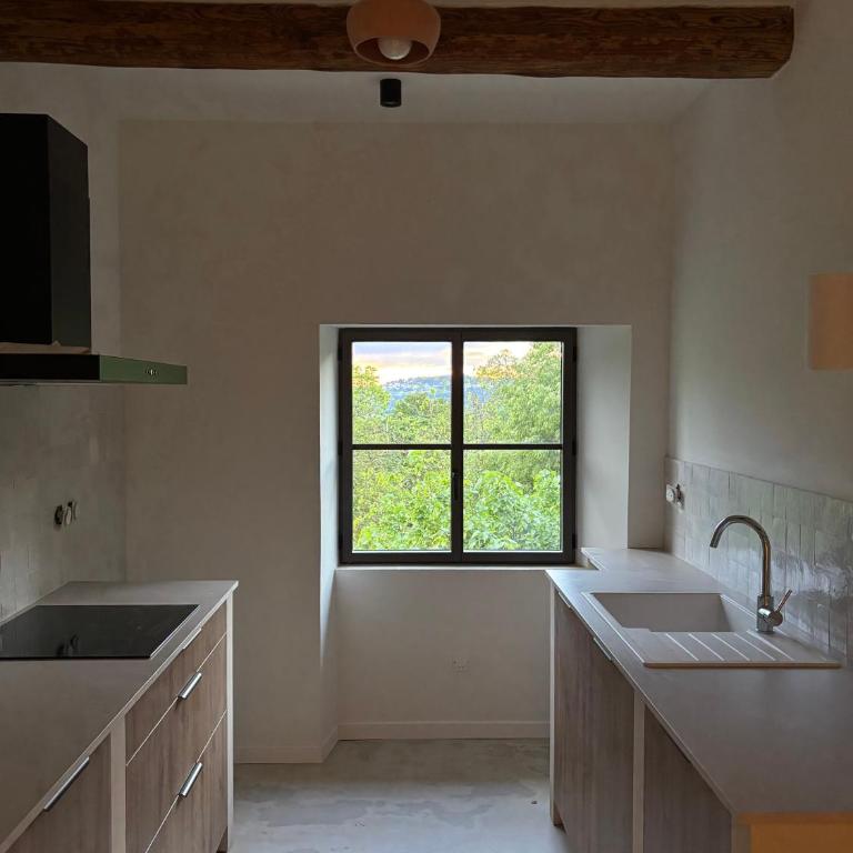 Château Daulone - Maison de Vacances - 41