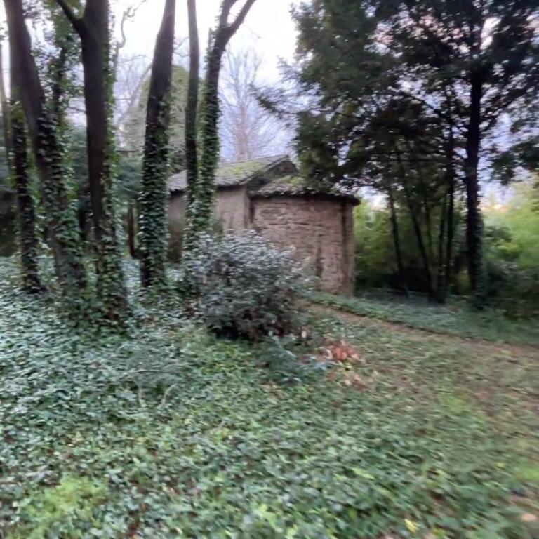 Château Daulone - Maison de Vacances - 62