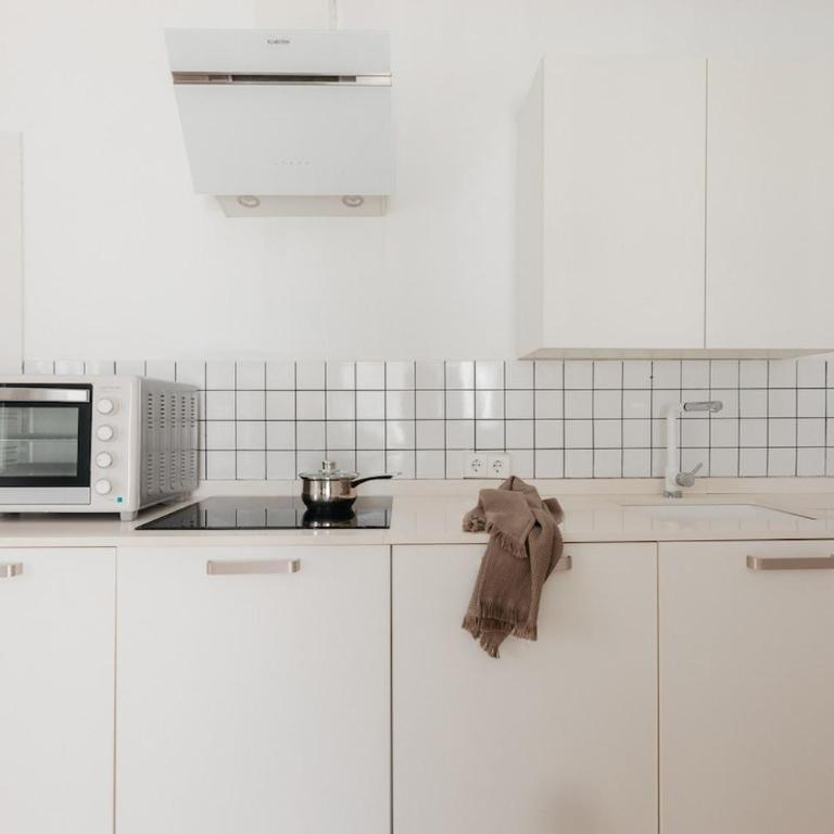 Penthouse with Terrace 2 Bedrooms 2 Bathrooms - Two-Bedroom Apartment - 7