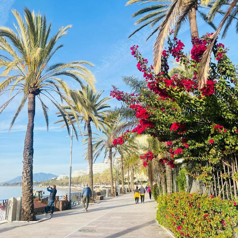 Sunny 1 bedroom in Monte B , Mijas Miraflores - Apartamento de 1 dormitorio - 32