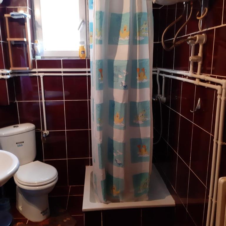 Anika - Apartman sa 1 Spavaćom Sobom - 4