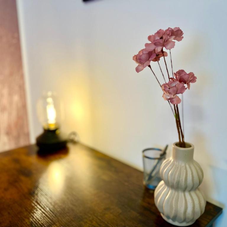 MAIN Cozy Casa Peterplatz - Apartment mit 1 Schlafzimmer - 3