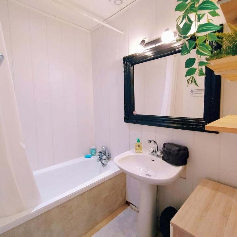 Mounette Etxea - Apartamento de 1 dormitorio - 13