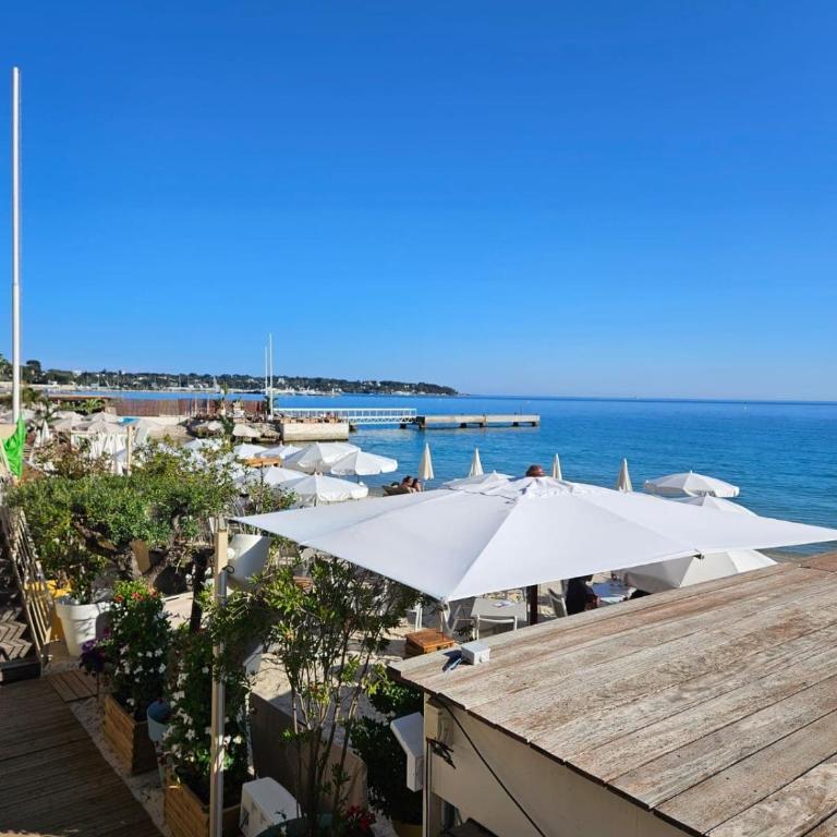 Juan-les-Pins 2-room apartment - Apartment mit 1 Schlafzimmer - 13