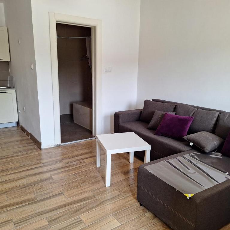 Vacanza 021 apartman - Studio sa Sofom na Izvlačenje - 7