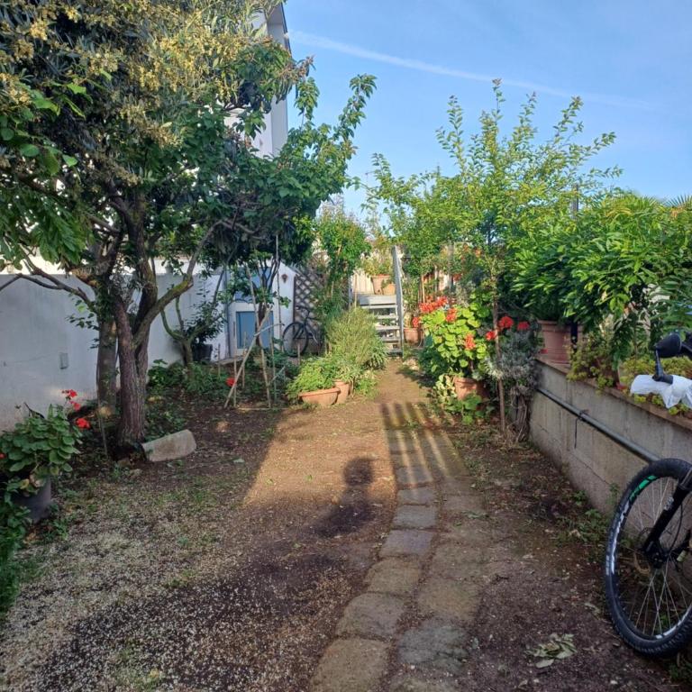 Alloggio breve Longo - Appartamento con 1 Camera da Letto e con Giardino - 2