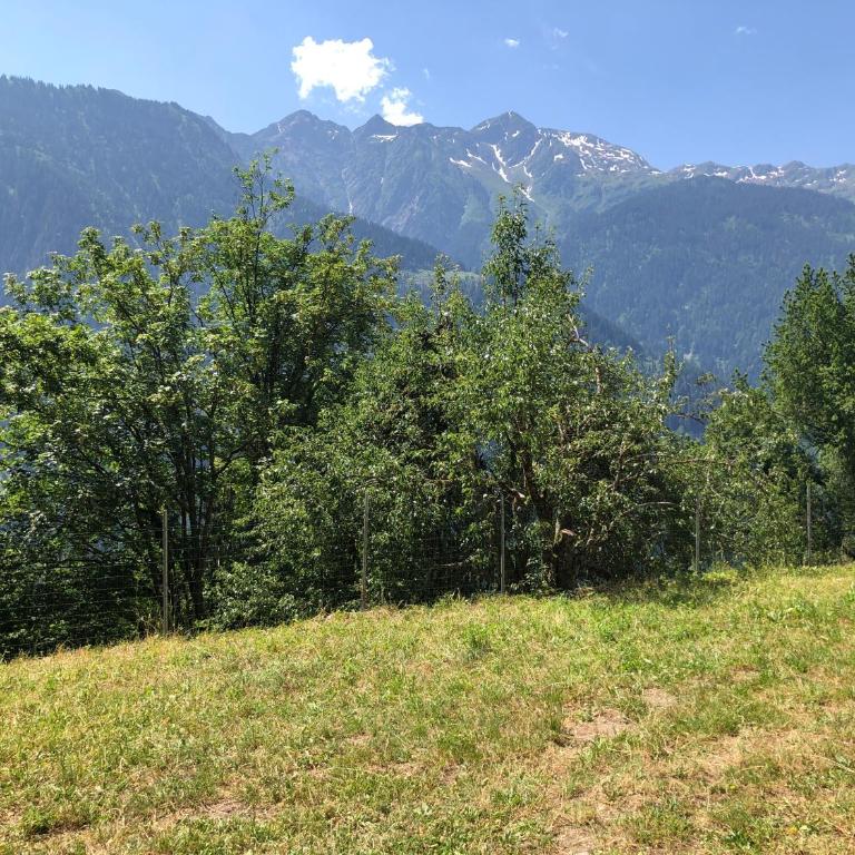 Chalet dans les alpages de Savoie - Chalet 3 Chambres - 7