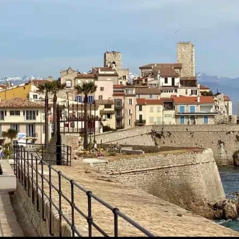 Confort Moderne au Cœur d'Antibes - Appartement 1 Chambre - 14
