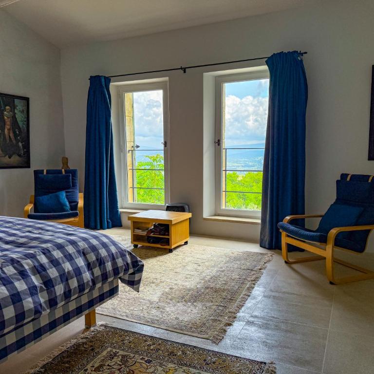 Mas à Gordes avec piscine et vue incroyable à 800 m du village - Villa Deluxe - 31