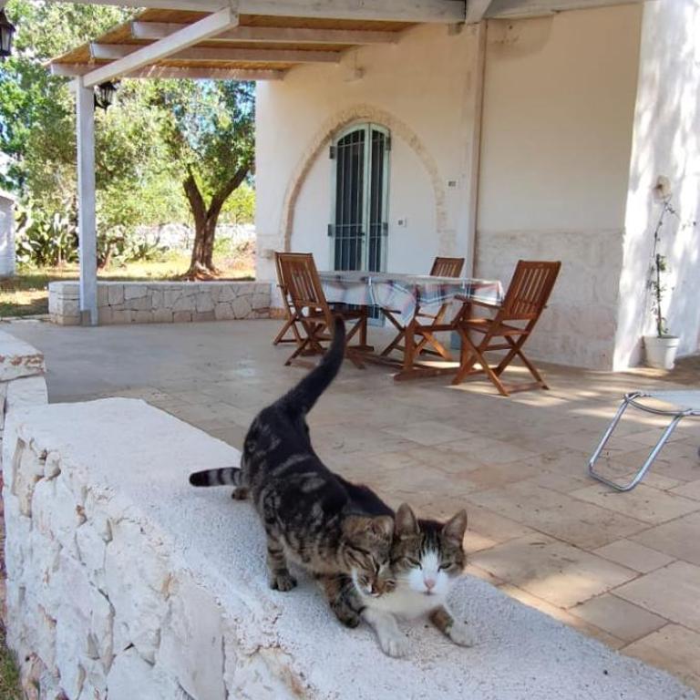 La Stradella Ostuni Country - Casa a Schiera con 2 Camere da Letto - 4