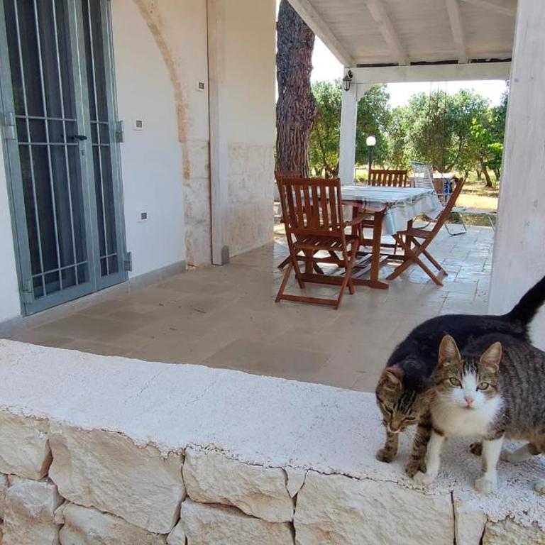 La Stradella Ostuni Country - Casa a Schiera con 2 Camere da Letto - 6