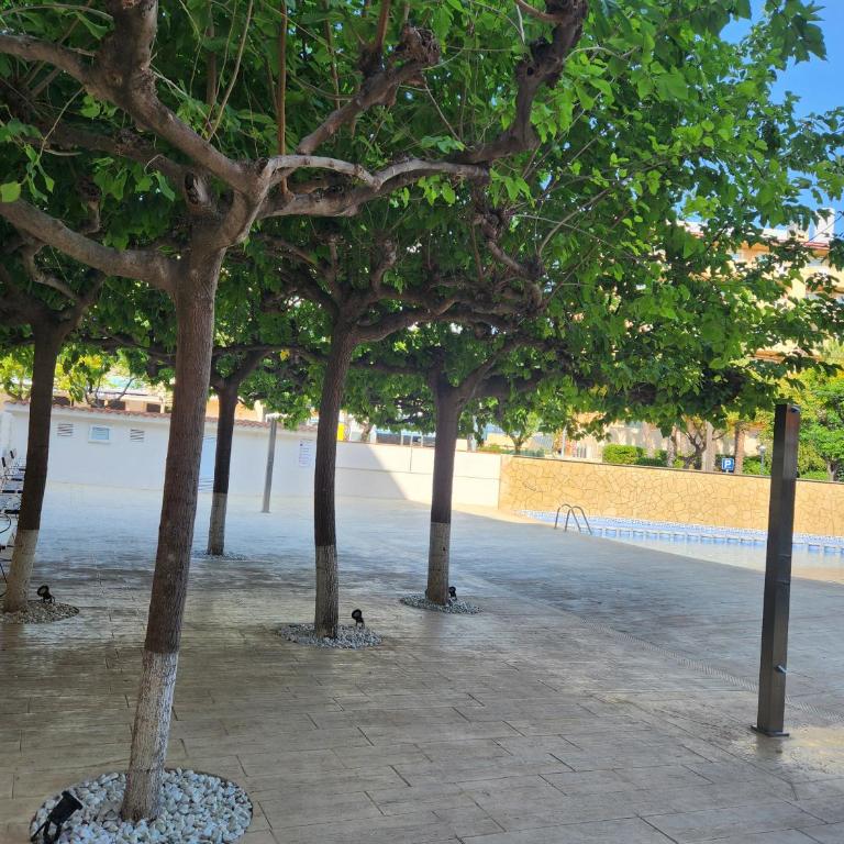 Arcoiris Pineda - Apartment with Sea View - 17