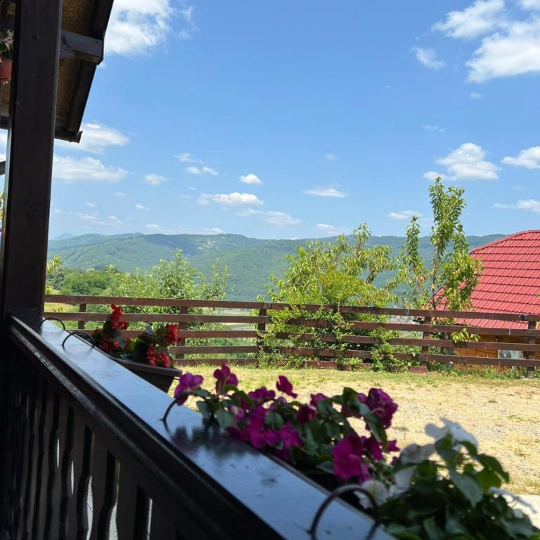 Brvnara Sofiana - Kuća sa 2 Spavaće Sobe - 25