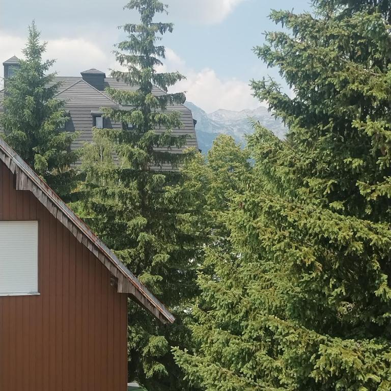 Guest House Kalpa - Dvokrevetna Soba sa Zasebnim Krevetima - 2