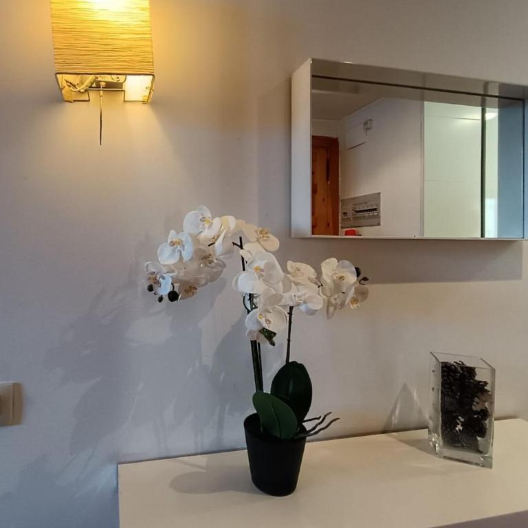 InmoCyma Benasque El Refugio de Maladeta - Apartamento de 3 dormitorios - 25