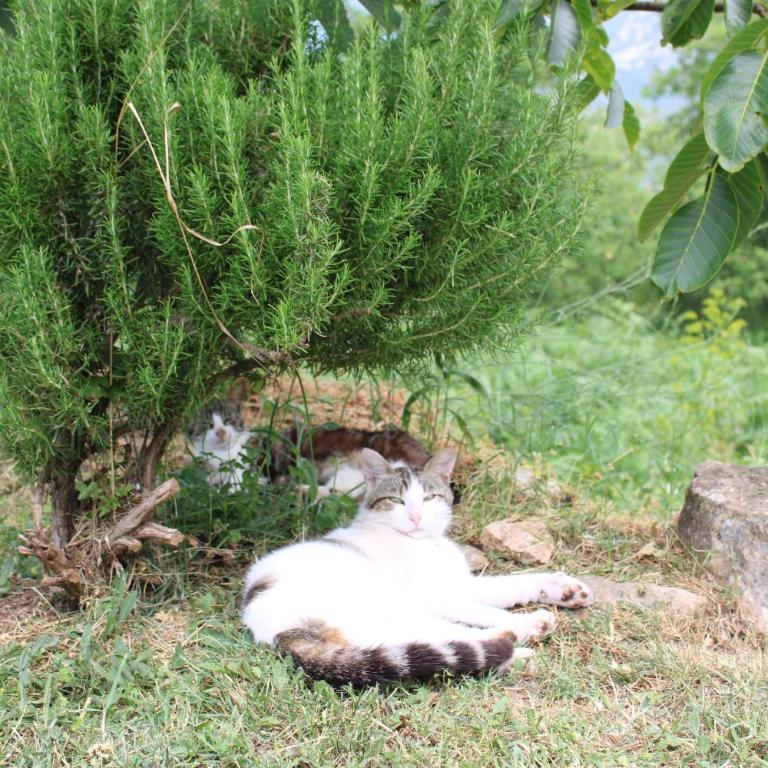 Spacious Holiday Home - Serene Village Near The Coast - Kuća sa 3 Spavaće Sobe - 9