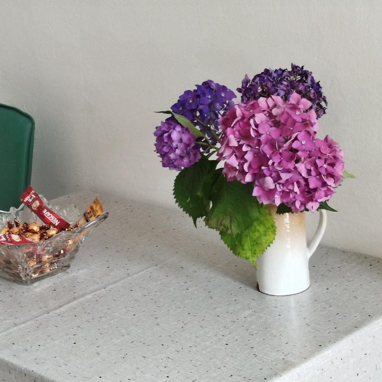 APARTMAN Biser - Apartman sa 1 Spavaćom Sobom - 19