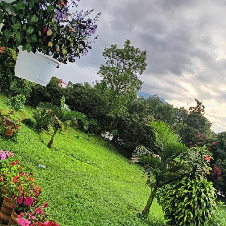Villa Alegría - Casa - 20