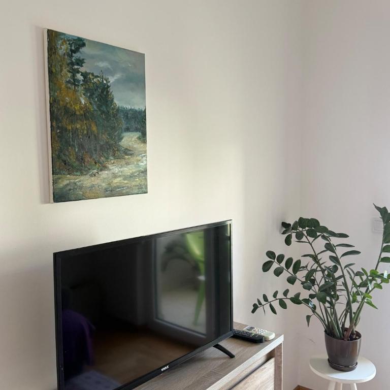 Cozy Apartment with Private Garage - Walk to City Center - Apartman sa 2 Spavaće Sobe - 3