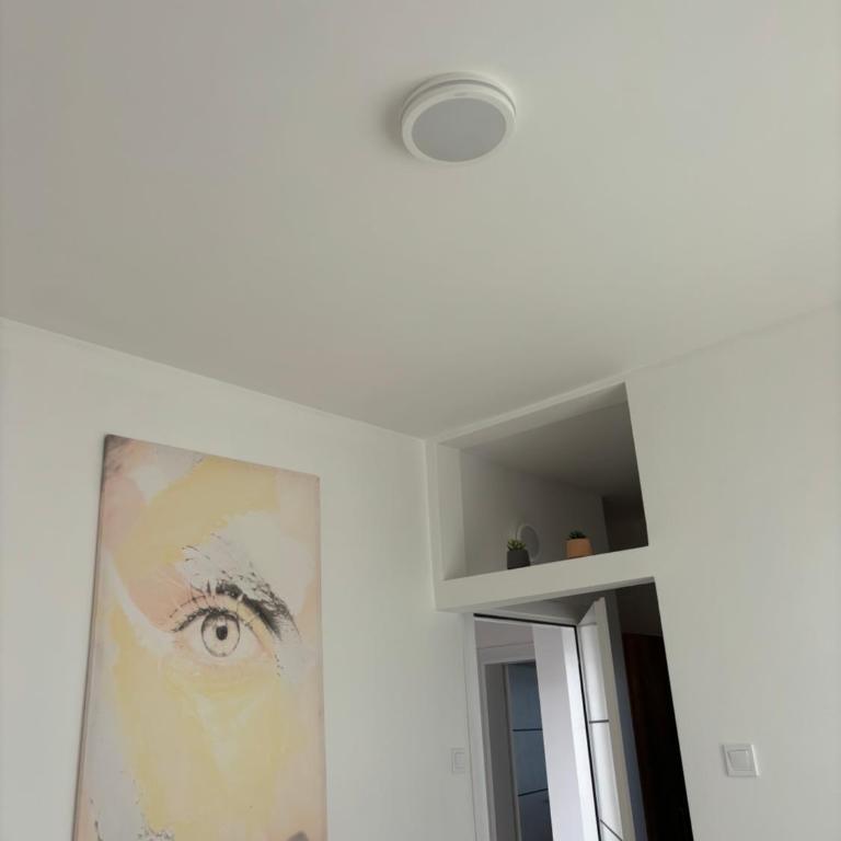 Villa Mia apartments - Deluks Dvokrevetna Soba s Bračnim Krevetom (2 odrasle osobe + 1 dete) - 13