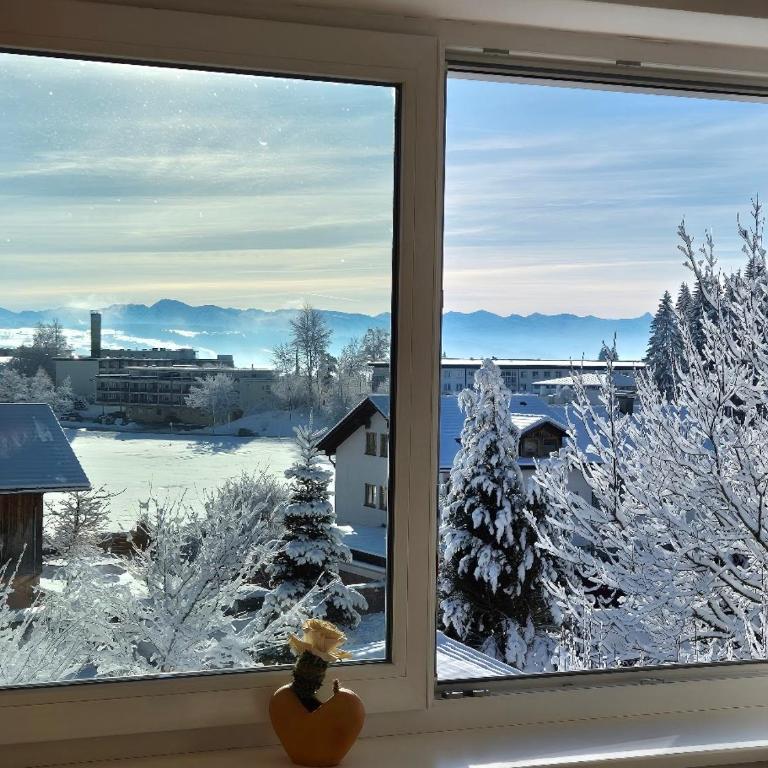 Ferienwohnung Pickenhan - Appartamento con Balcone - 77