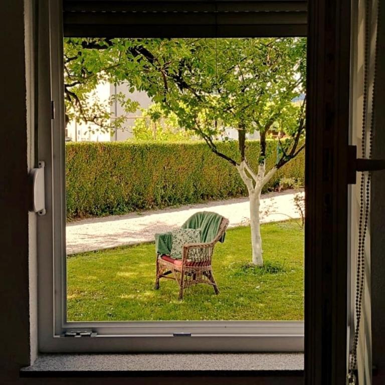 Ćeif HOUSE - One-Bedroom Apartment - 8