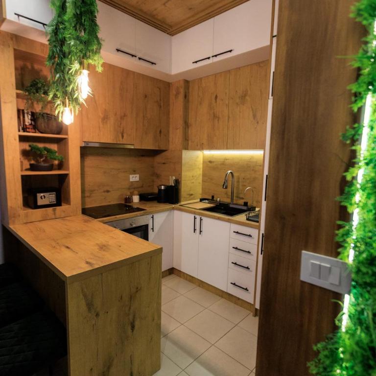 Harmonia Lux Aqua park - Apartman sa 1 Spavaćom Sobom - 4