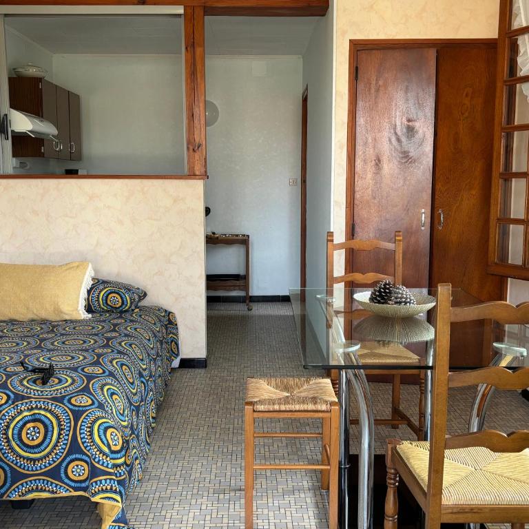 Studio sud à 300m des plages - Studio Standard - 17