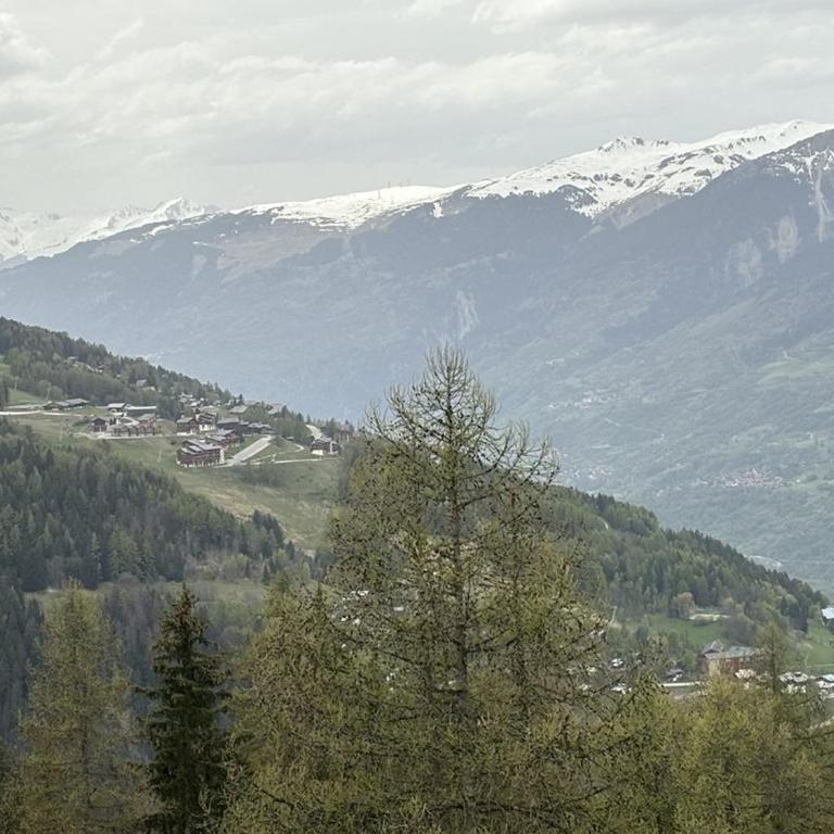 Triplex 6 pers, proche pistes, balcon, animaux admis - Appartement 3 Chambres - 13