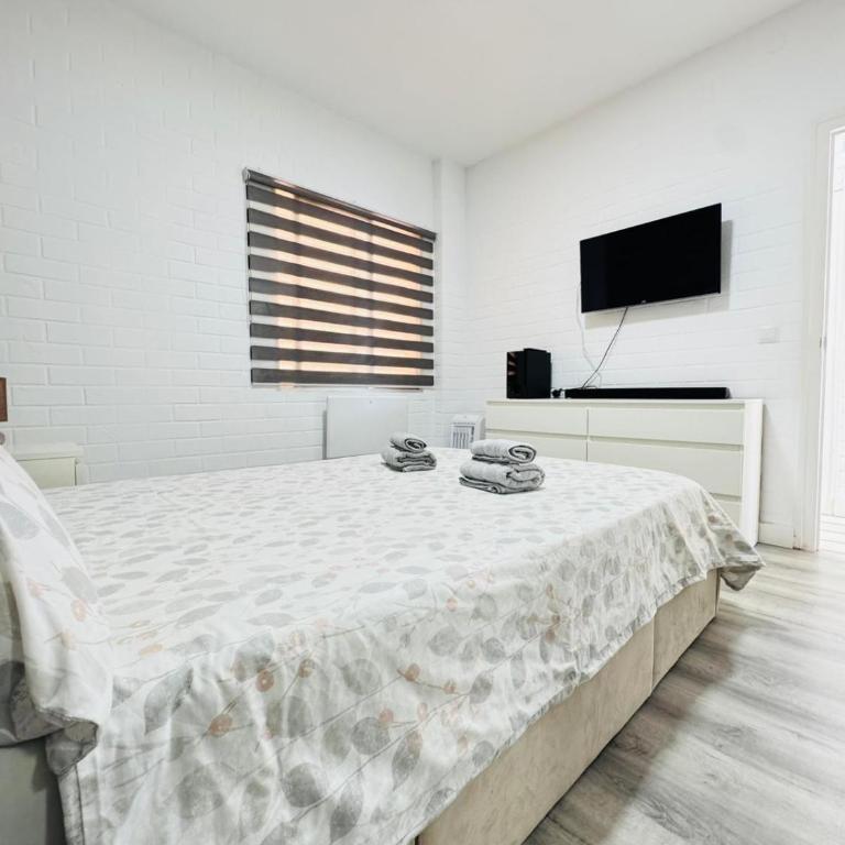 Beachfront apartment - La Mata - Two-Bedroom Apartment - 17