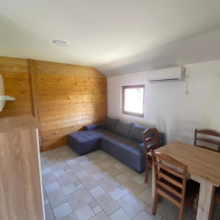 Salas Babic - Apartman sa 2 Spavaće Sobe - 2