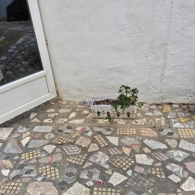 L'espadon du port, air conditioning, terrace, sea, 5 people - Appartement 2 Chambres - 5