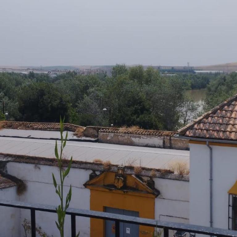mi pequeño retiro - Apartamento de 1 dormitorio - 40