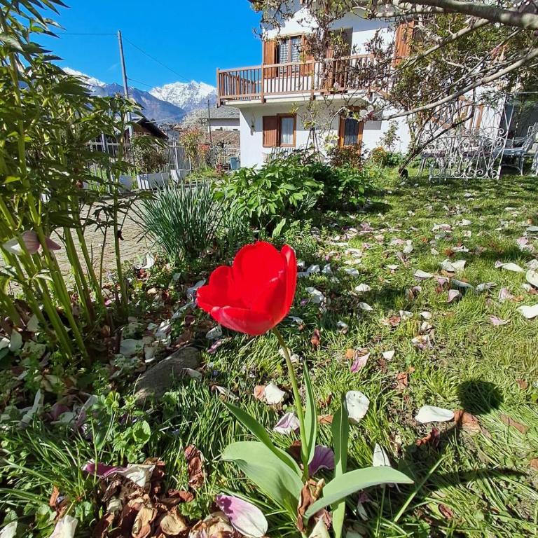 VILLA ADRY Aosta Sarre Your freedom - Villa - 48