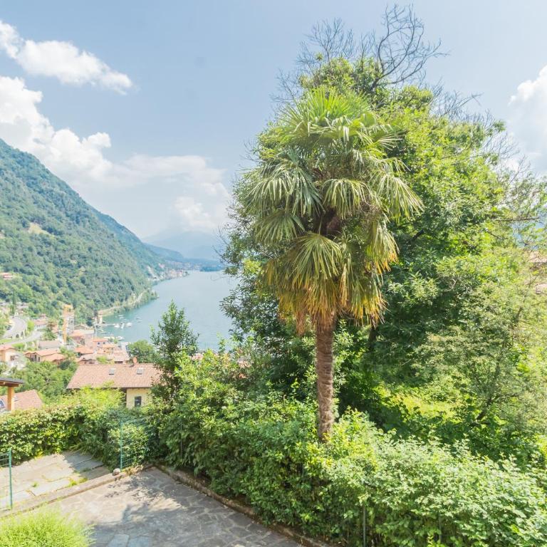 Harmony on the Lake by Rent All Como - Appartamento - 41
