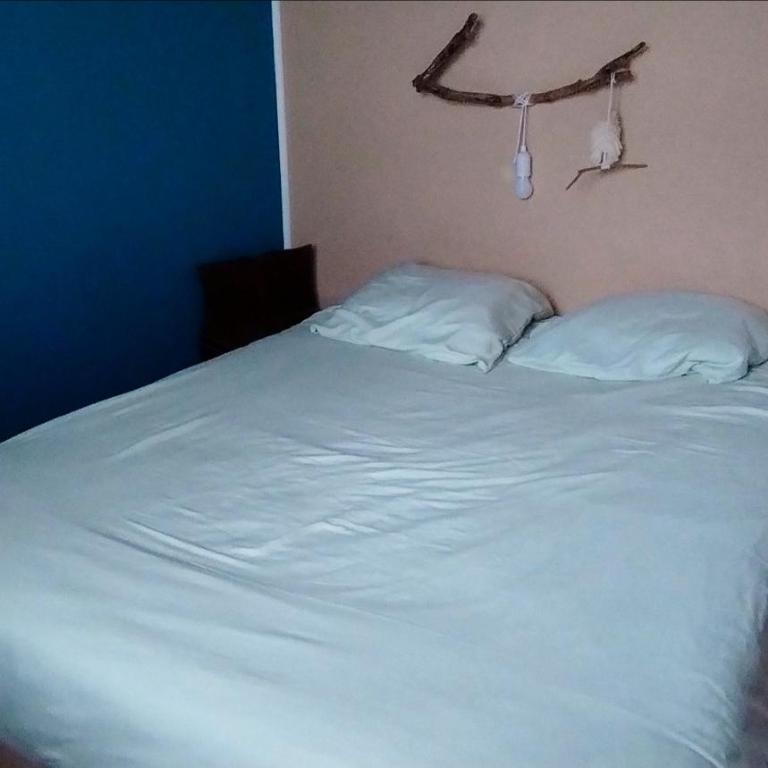 Chalet sur pilotis en bord de plage - Chalet - 1
