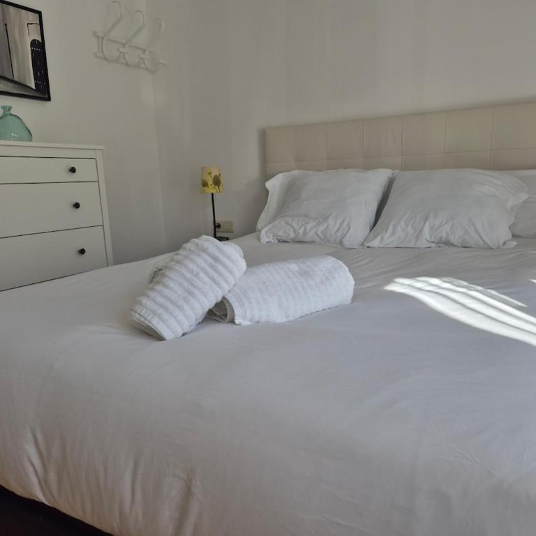 Puigcerdà Carlos's House, como en tu casa - Apartment mit 2 Schlafzimmern - 32