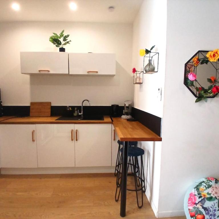 le Notre dame-Centre ville-Gare - Studio Apartment - 4