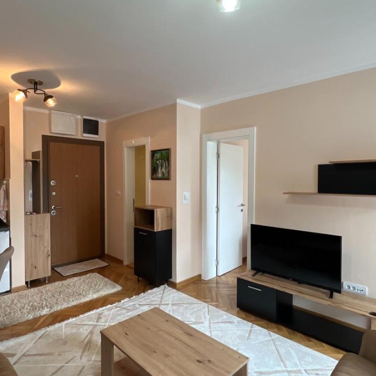 Vrnjačka View apartments - One-Bedroom Apartment with Terrace - 8