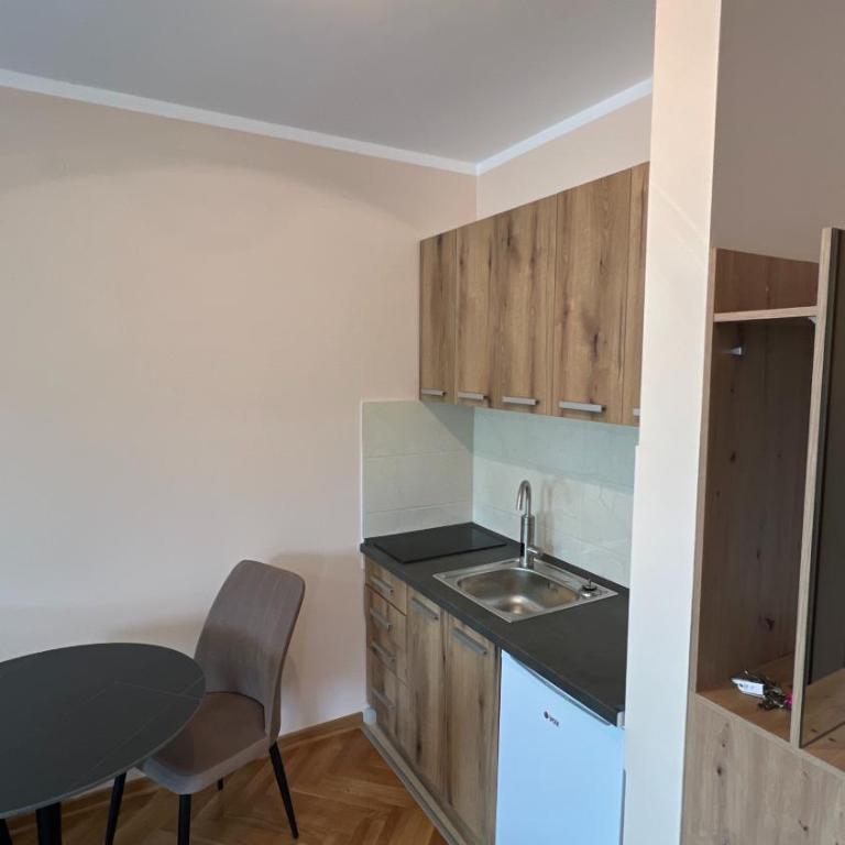 Vrnjačka View apartments - One-Bedroom Apartment with Terrace - 14