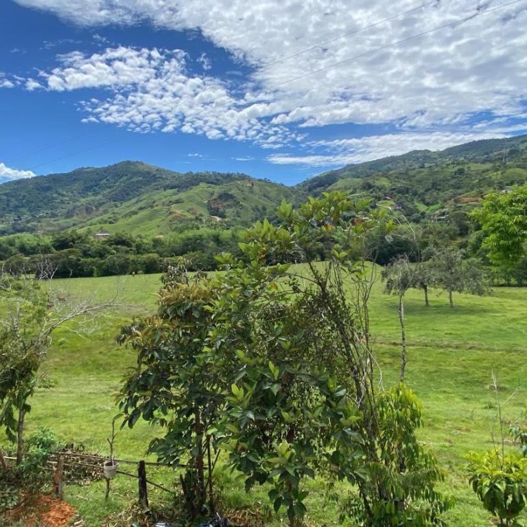 Casa Luagua - Three-Bedroom Apartment with Mountain View - 1