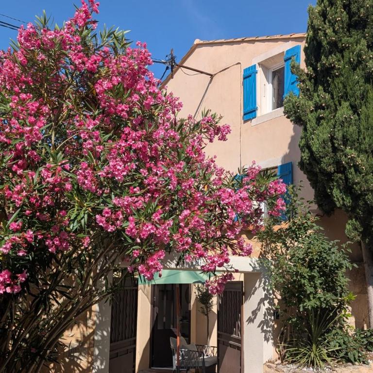 Charming & medieval village house completely renovated with great exterior and views - Maison 3 Chambres - 6